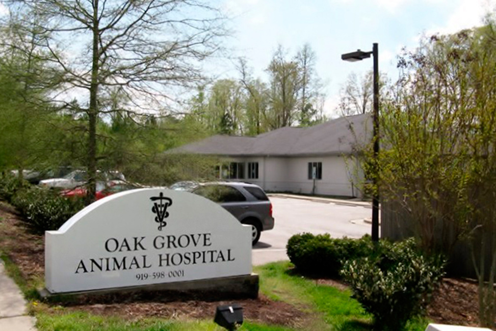 Oak Grove Animal Hospital | Riggs-Harrod Builders, Inc